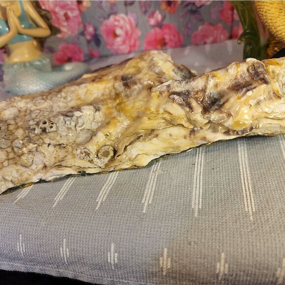 DECOUPAGE OYSTER SHELL DECOUPAGE OYSTER OCEAN SCENE TRINKET DISH - Picture 11 of 12